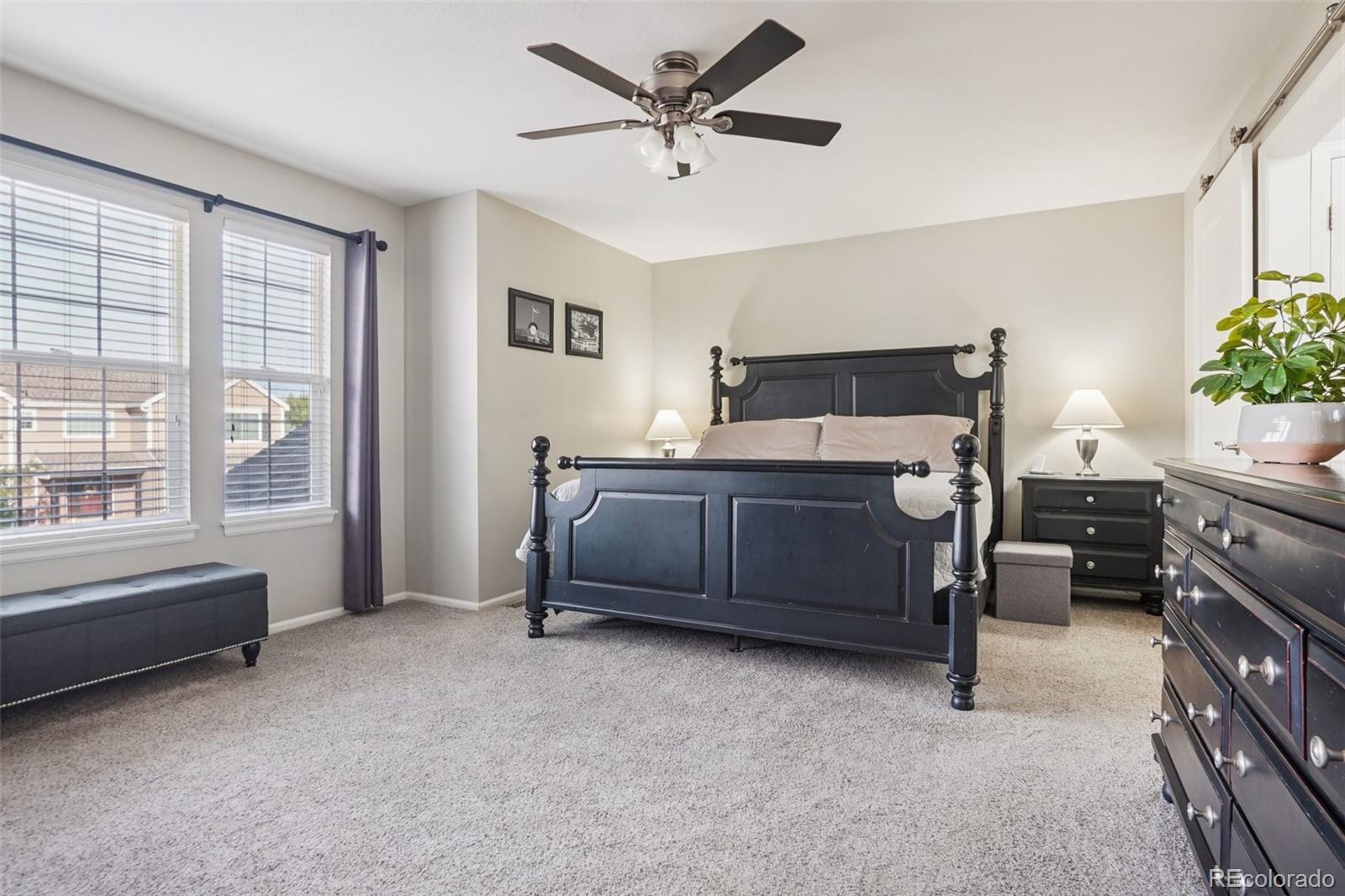 1993 Mountain Maple Avenue Highlands Ranch, CO 80129 - Photo 17 of 43