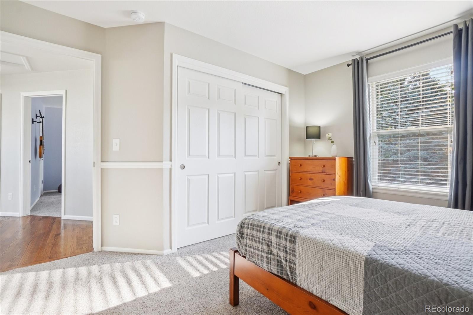 1993 Mountain Maple Avenue Highlands Ranch, CO 80129 - Photo 25 of 43