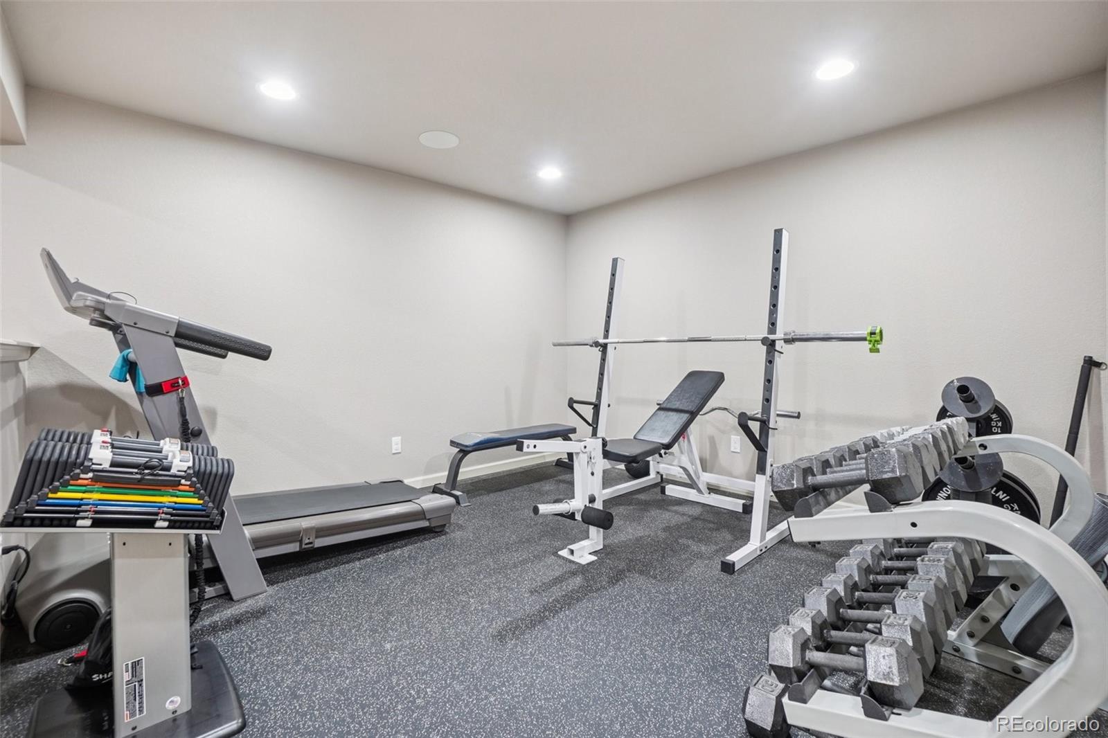 1993 Mountain Maple Avenue Highlands Ranch, CO 80129 - Photo 31 of 43