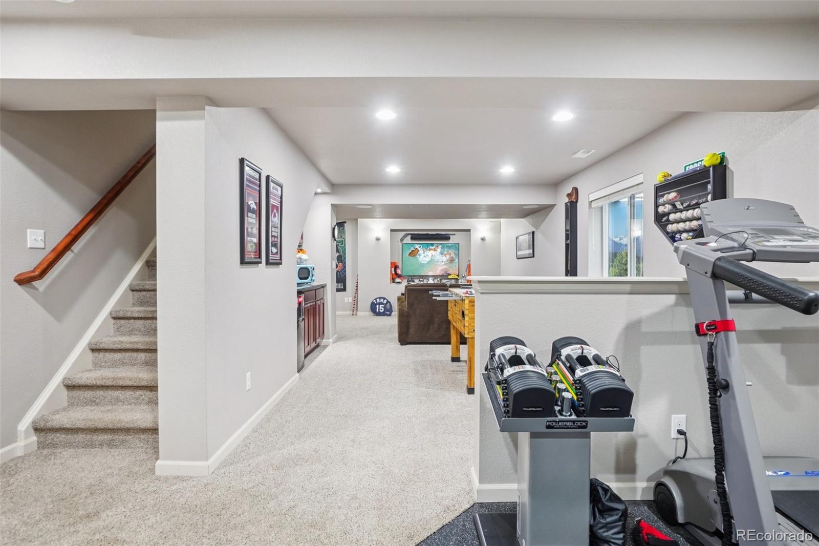 1993 Mountain Maple Avenue Highlands Ranch, CO 80129 - Photo 32 of 43