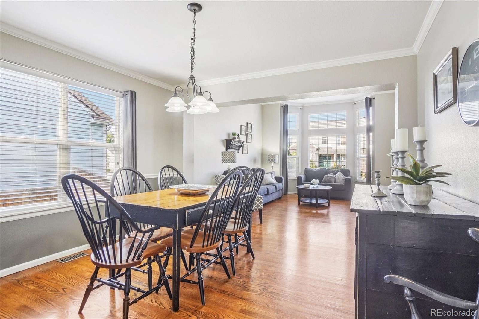 1993 Mountain Maple Avenue Highlands Ranch, CO 80129 - Photo 7 of 43