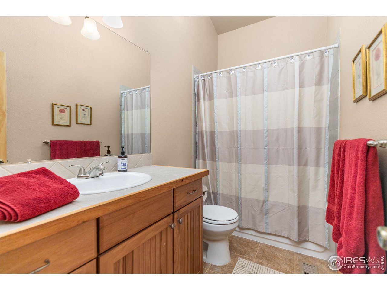 308 Pinon Circle Black Hawk, CO 80422 - Photo 19 of 37 a bathroom with a sink a toilet a mirror and shower curtain