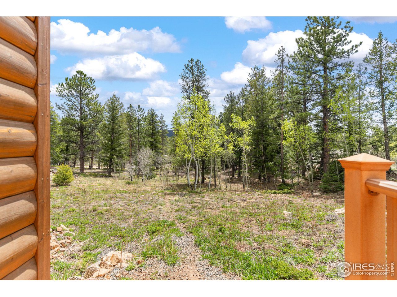308 Pinon Circle Black Hawk, CO 80422 - Photo 23 of 37 a backyard of a house with large trees