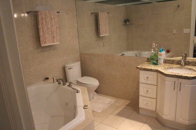 5741 South Michigan Avenue, Unit 1N Chicago, IL 60637 - Photo 5 of 8