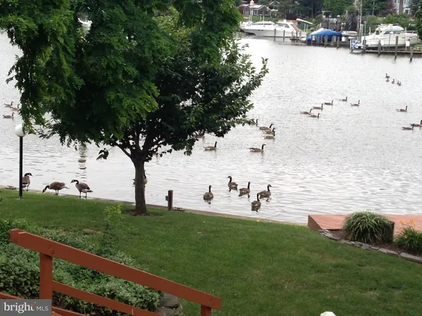 $799,000 | 562 Anchor Drive, Joppa, MD 21085