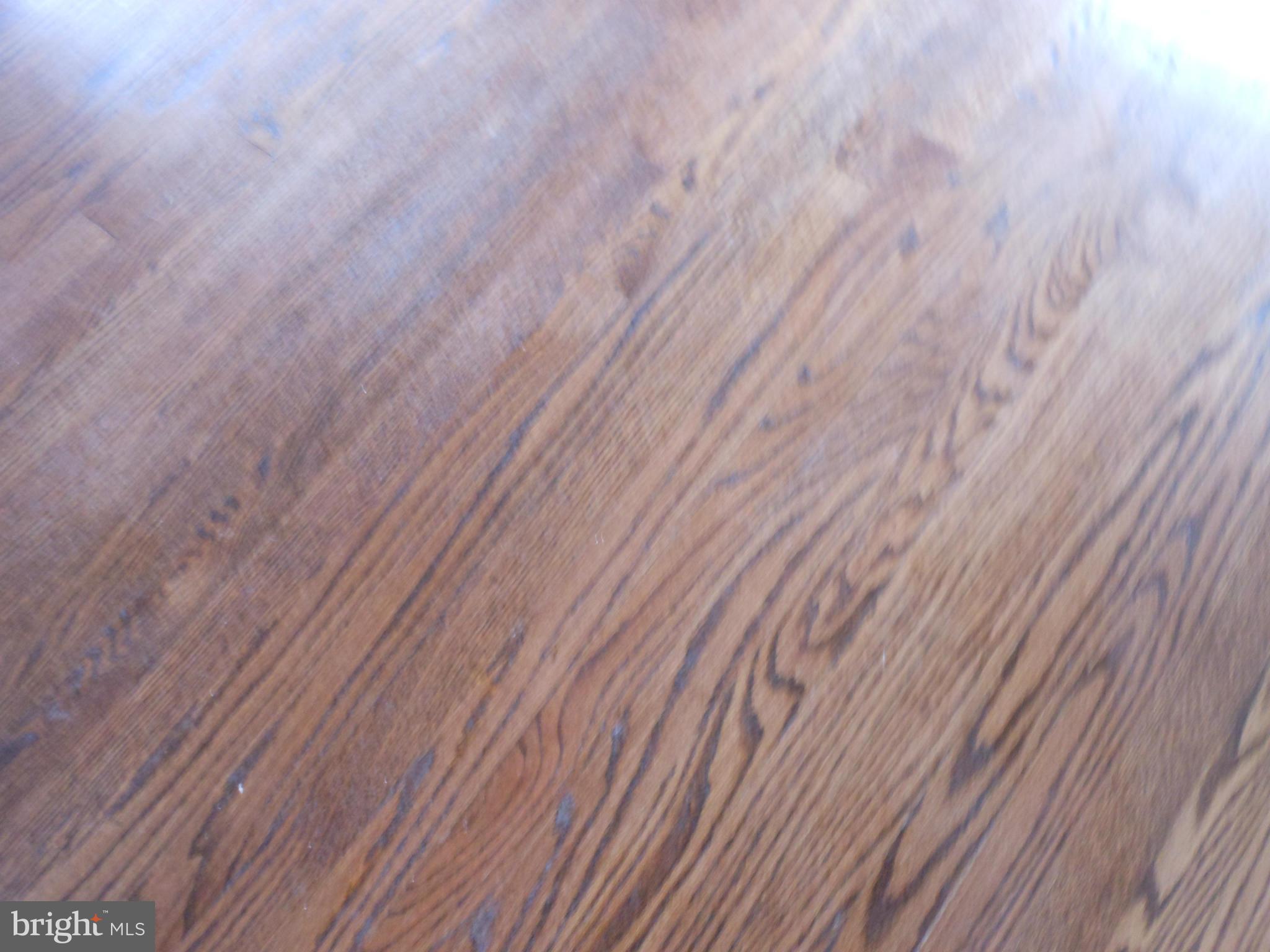 7302 Dooman Road Baltimore, MD 21244 - Photo 29 of 29 a view of a room with wooden floor