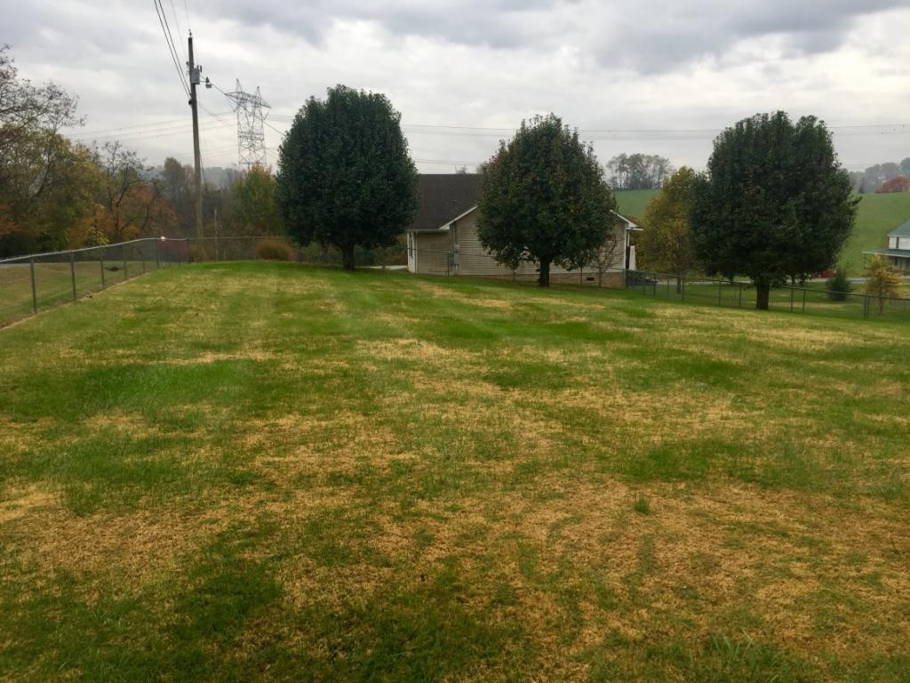 103 Hollow View Road Gray, TN 37615 - Photo 32 of 36 Photo 32