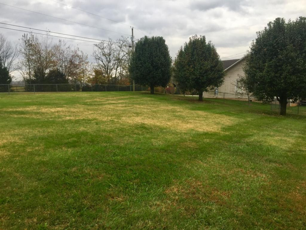 103 Hollow View Road Gray, TN 37615 - Photo 36 of 36 Photo 36