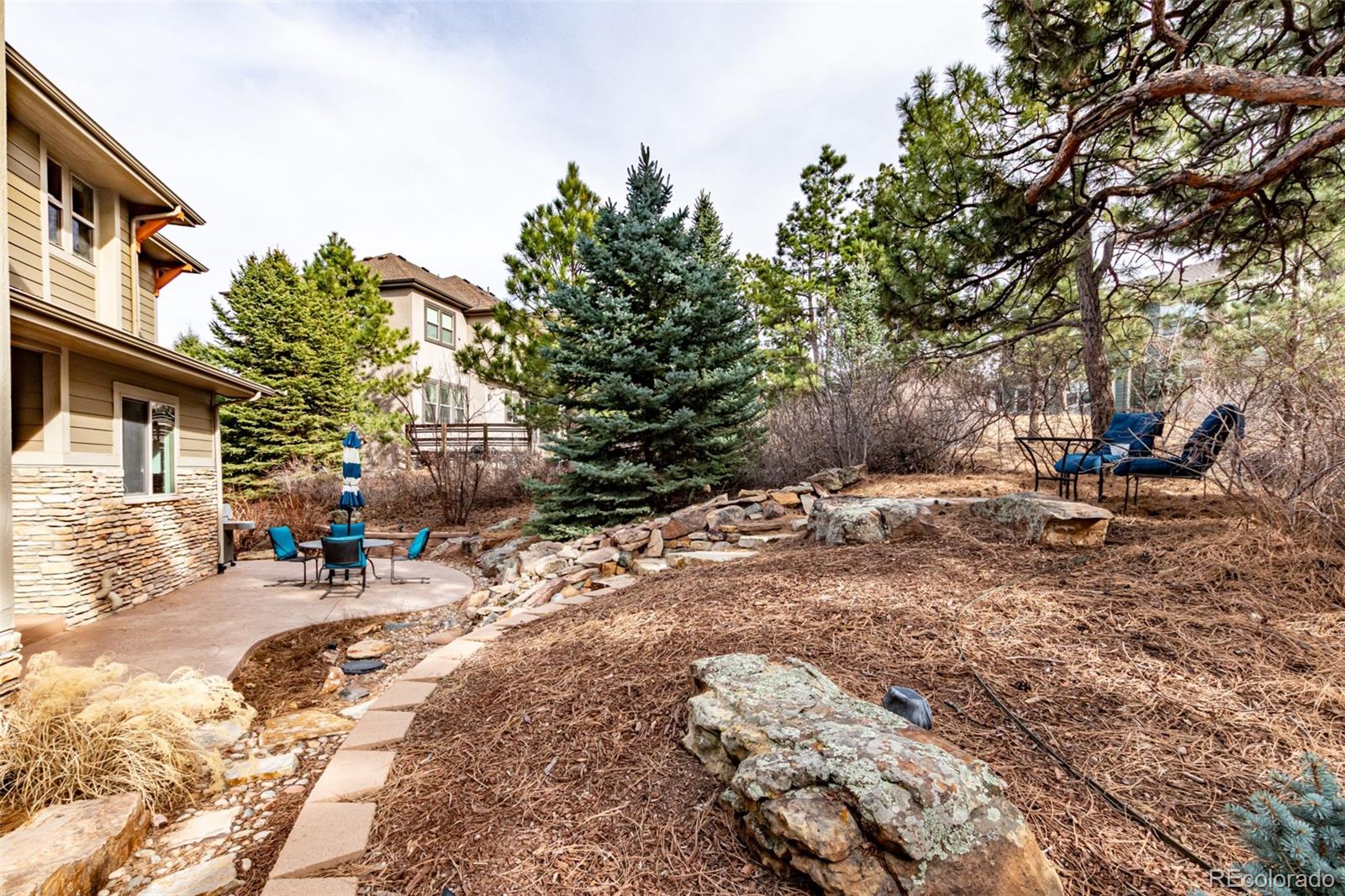 20166 East Shady Ridge Road Parker, CO 80134 - Photo 39 of 50 a view of a park with bench and trees