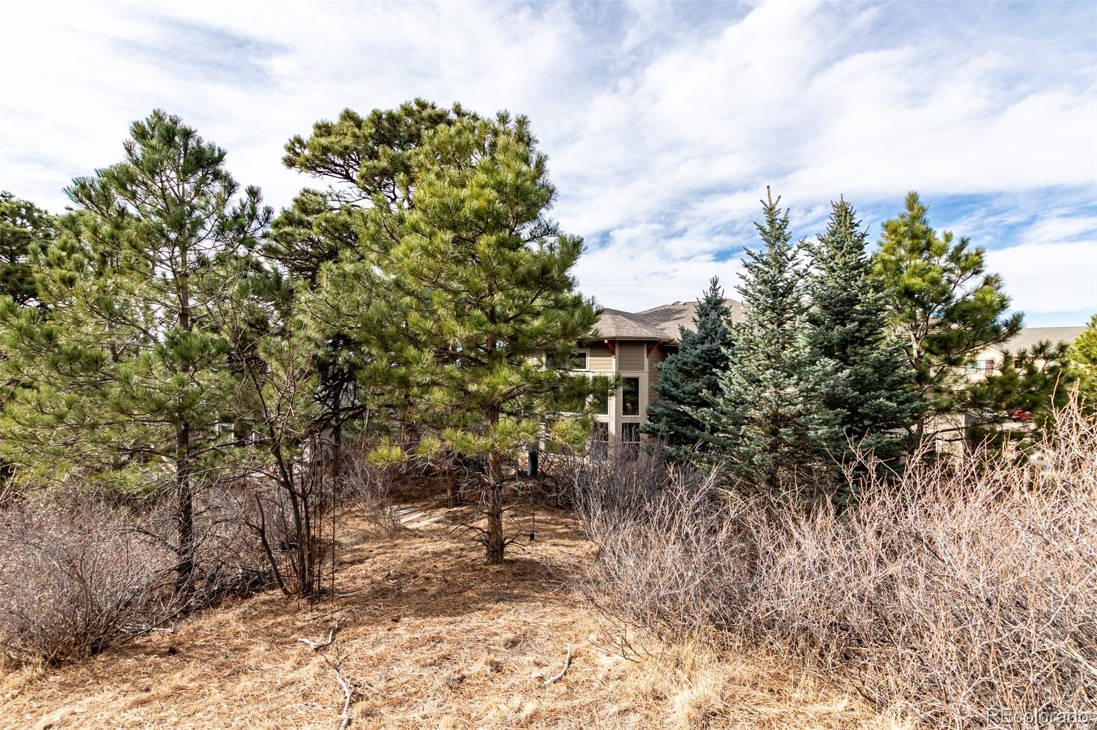 20166 East Shady Ridge Road Parker, CO 80134 - Photo 40 of 50