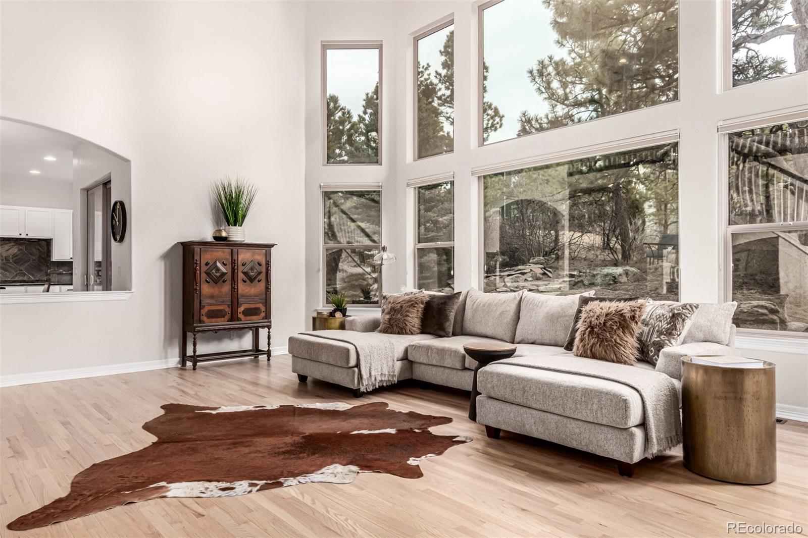 20166 East Shady Ridge Road Parker, CO 80134 - Photo 7 of 50 a living room with furniture and a large window