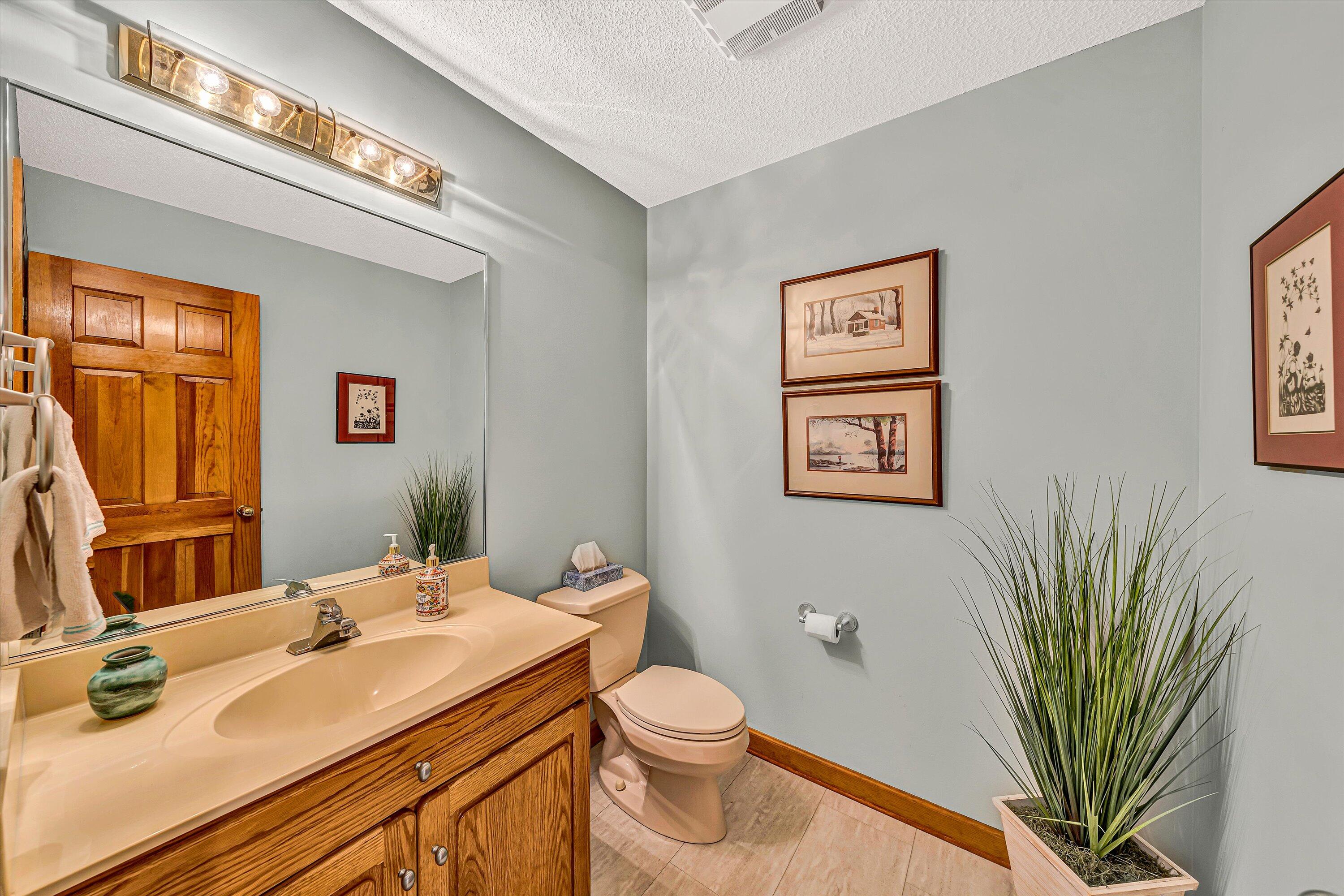 217 Anthony Home Road Huddleston, VA 24104 - Photo 24 of 68 a bathroom with a sink a mirror and a toilet