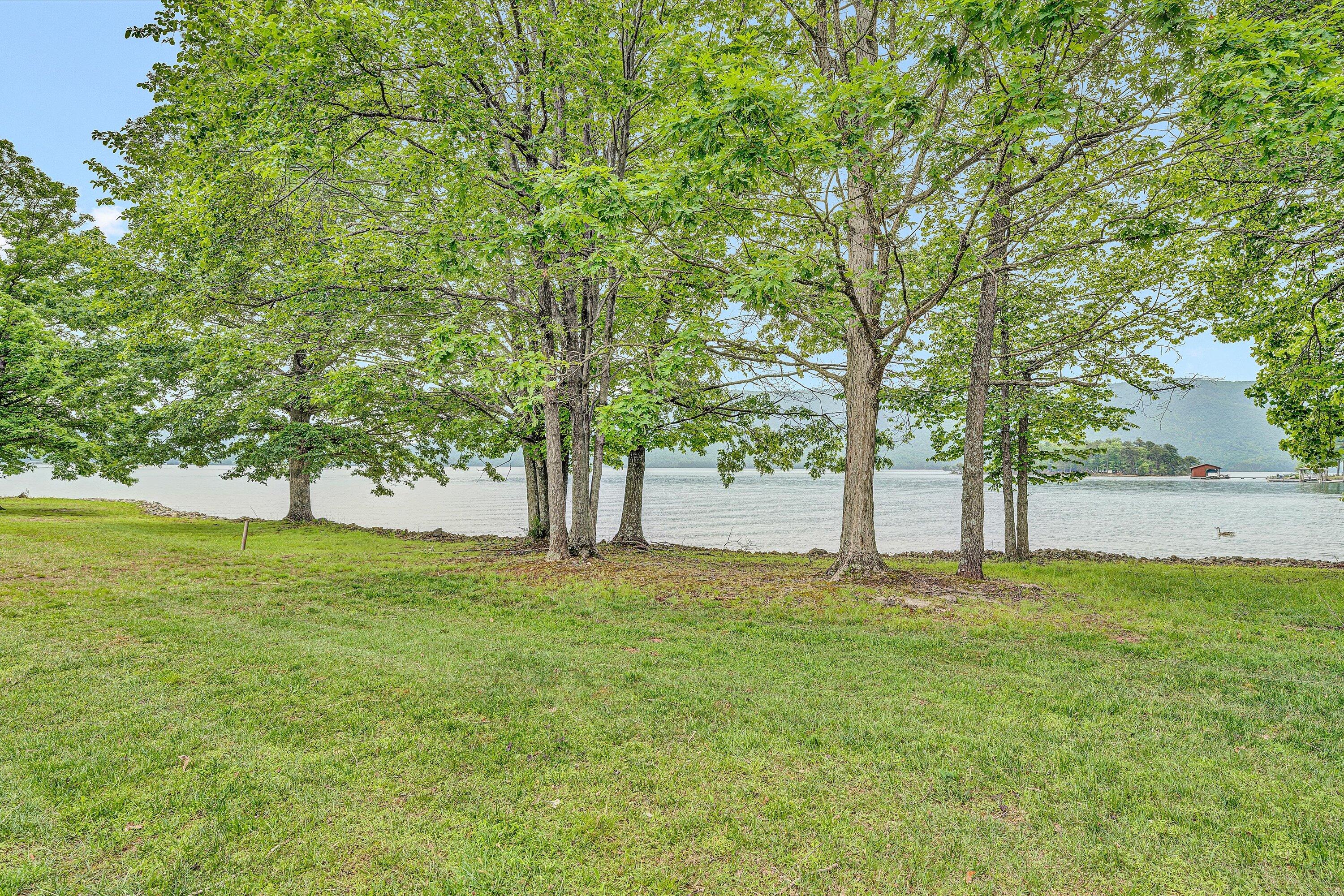 217 Anthony Home Road Huddleston, VA 24104 - Photo 58 of 68 a view of yard with trees