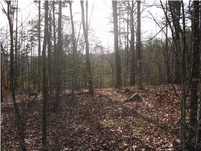 7 Mirror Lake Road Dunlap, TN 37327 - Photo 3 of 3 Additional Photo