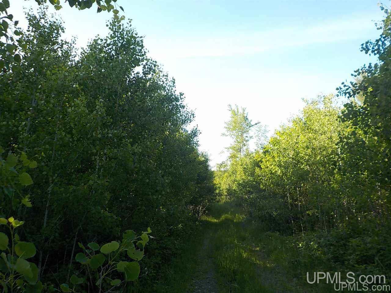 35-ac Sheltrow Road Crystal Falls, MI 49920 - Photo 16 of 23