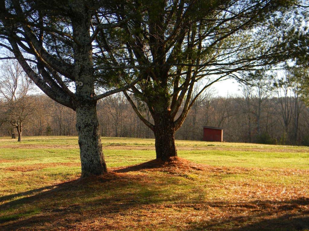 539 Shoemake Road Crossville, TN 38571 - Photo 12 of 14 DSCN7981