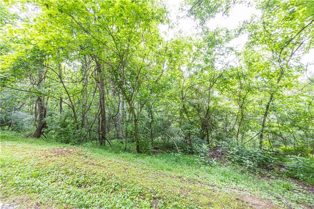 0 Alpine Lane Smock, PA 15480 - Photo 3 of 5