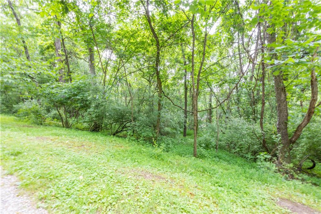 0 Alpine Lane Smock, PA 15480 - Photo 4 of 5