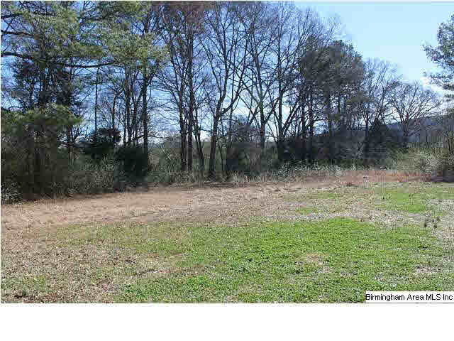 187 Forgotten Road Piedmont, AL 36272 - Photo 25 of 28