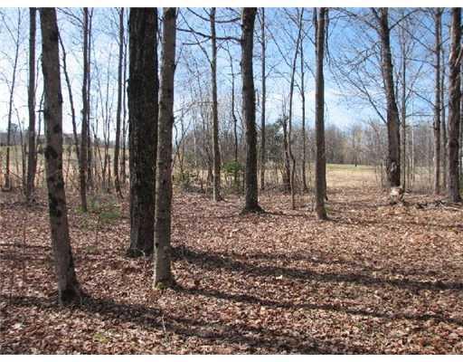 0 Alfalfa Road Sidney, ME 04330 - Photo 6 of 12 Land/Lot.