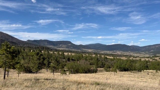 24.61-acres Los Alamitos Road Chacon, NM 87713 - Photo 8 of 12
