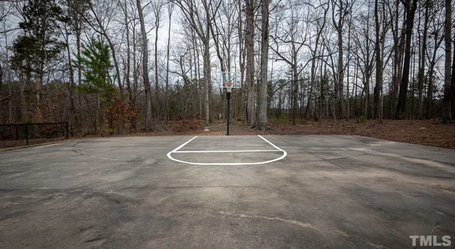 a living room with furniture a lamp and a potted plant