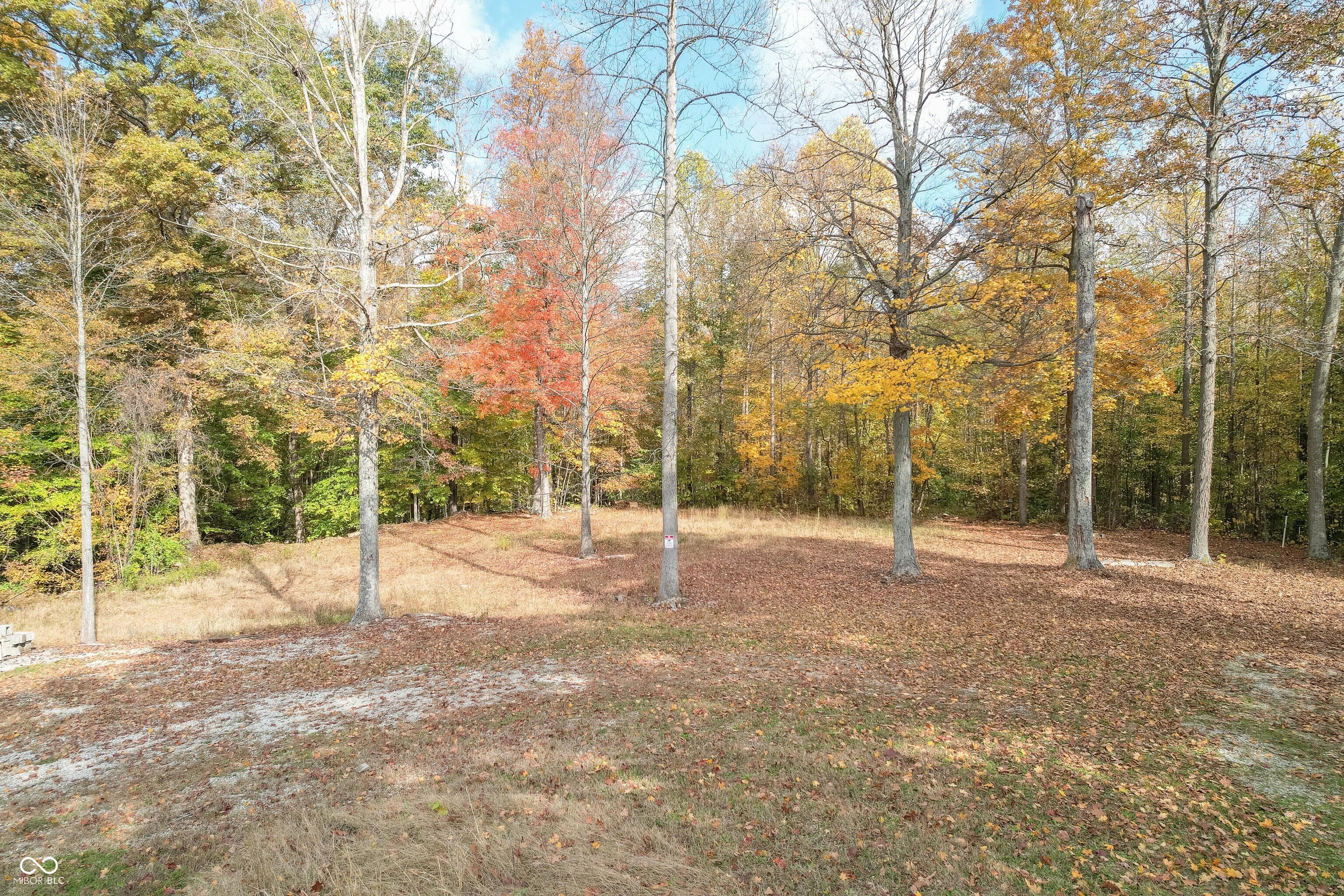 1000 North Block Co Rd 1240 East Seymour, IN 47274 - Photo 5 of 15