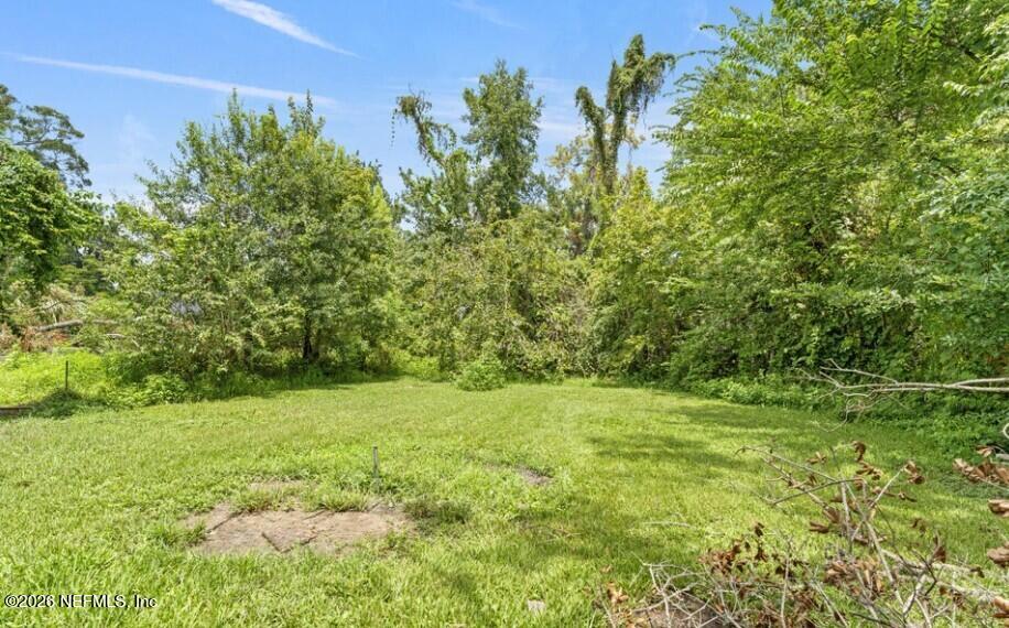 3131 Dignan Street Jacksonville, FL 32254 - Photo 16 of 16 a view of yard with green space
