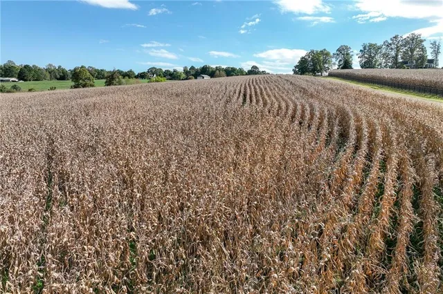 $358,000 | 0 Holly Springs Road, Clermont, GA 30527