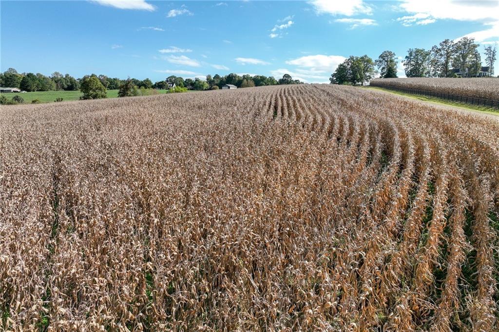 0 Holly Springs Road Clermont, GA 30527 - Photo 11 of 15