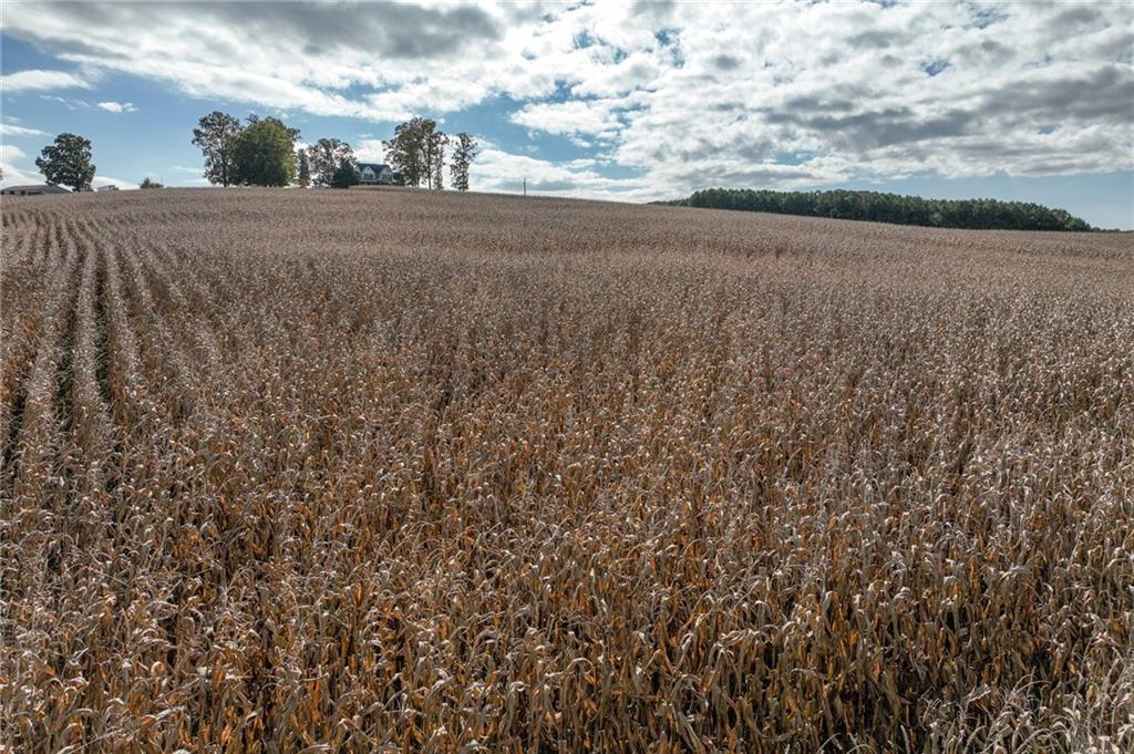 0 Holly Springs Road Clermont, GA 30527 - Photo 12 of 15