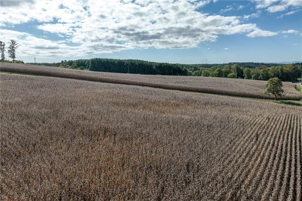 0 Holly Springs Road Clermont, GA 30527 - Photo 14 of 15