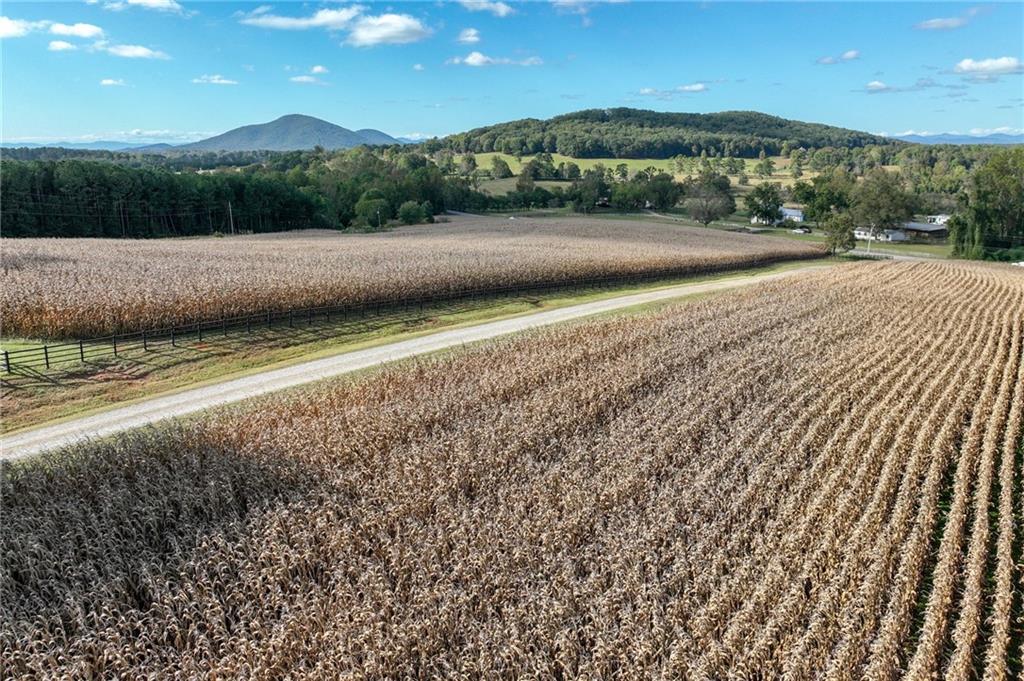 0 Holly Springs Road Clermont, GA 30527 - Photo 9 of 15