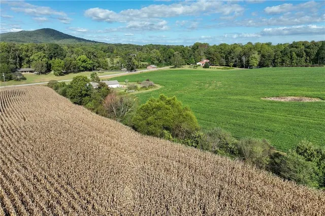 $358,000 | 0 Holly Springs Road, Clermont, GA 30527