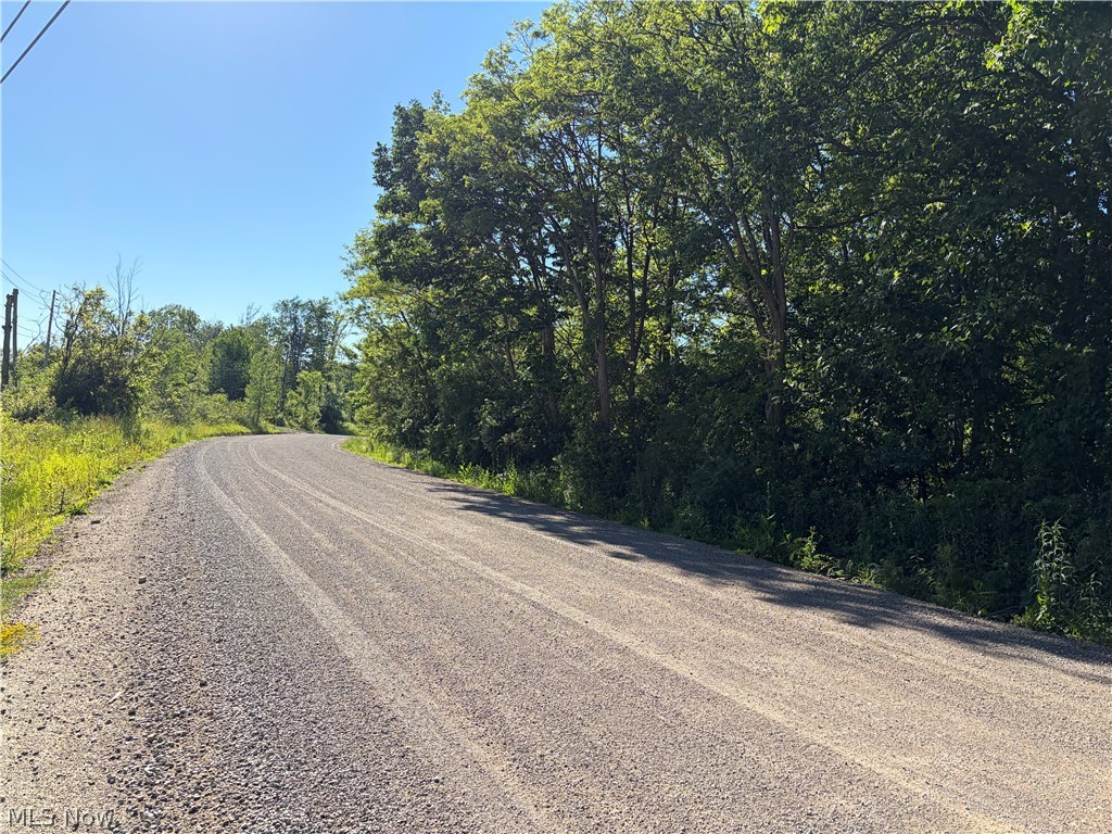0 South Ridge Road West Conneaut, OH 44030 - Photo 2 of 3