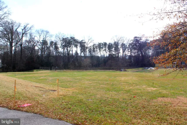 a view of a swimming pool and trees in the background