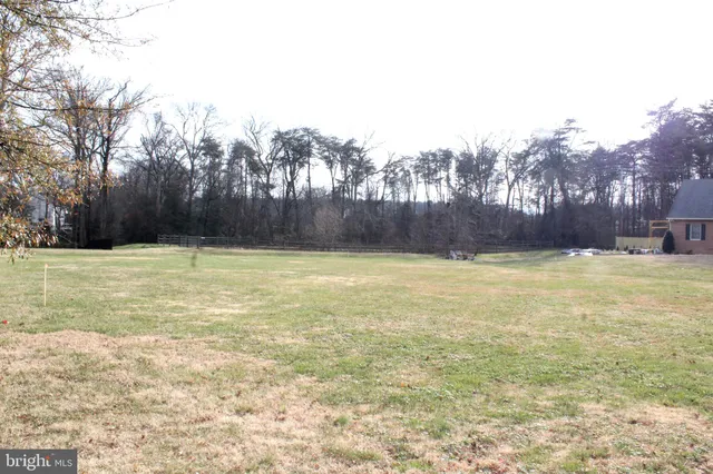 a picture of a person on a park