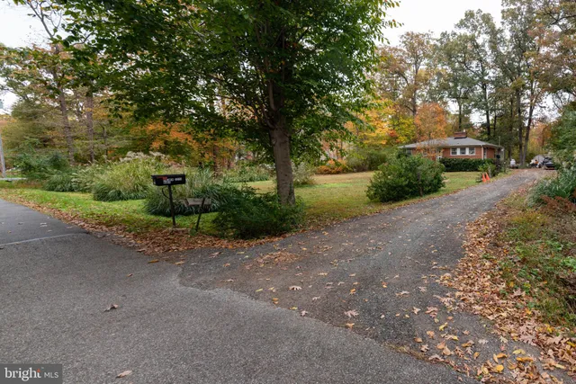 a view of a road with trees around