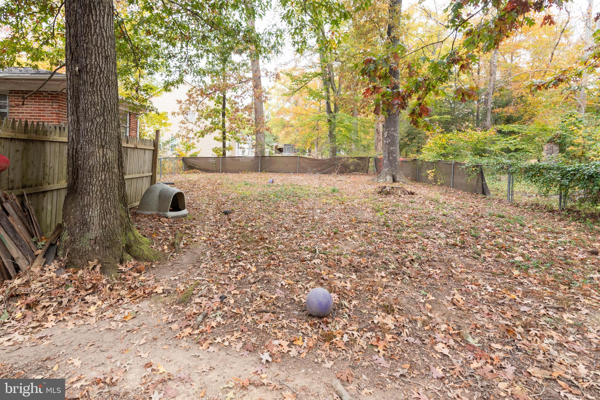 3270 Woodcox Road Indian Head, MD 20640 - Photo 45 of 49 a backyard of a house with lots of green space