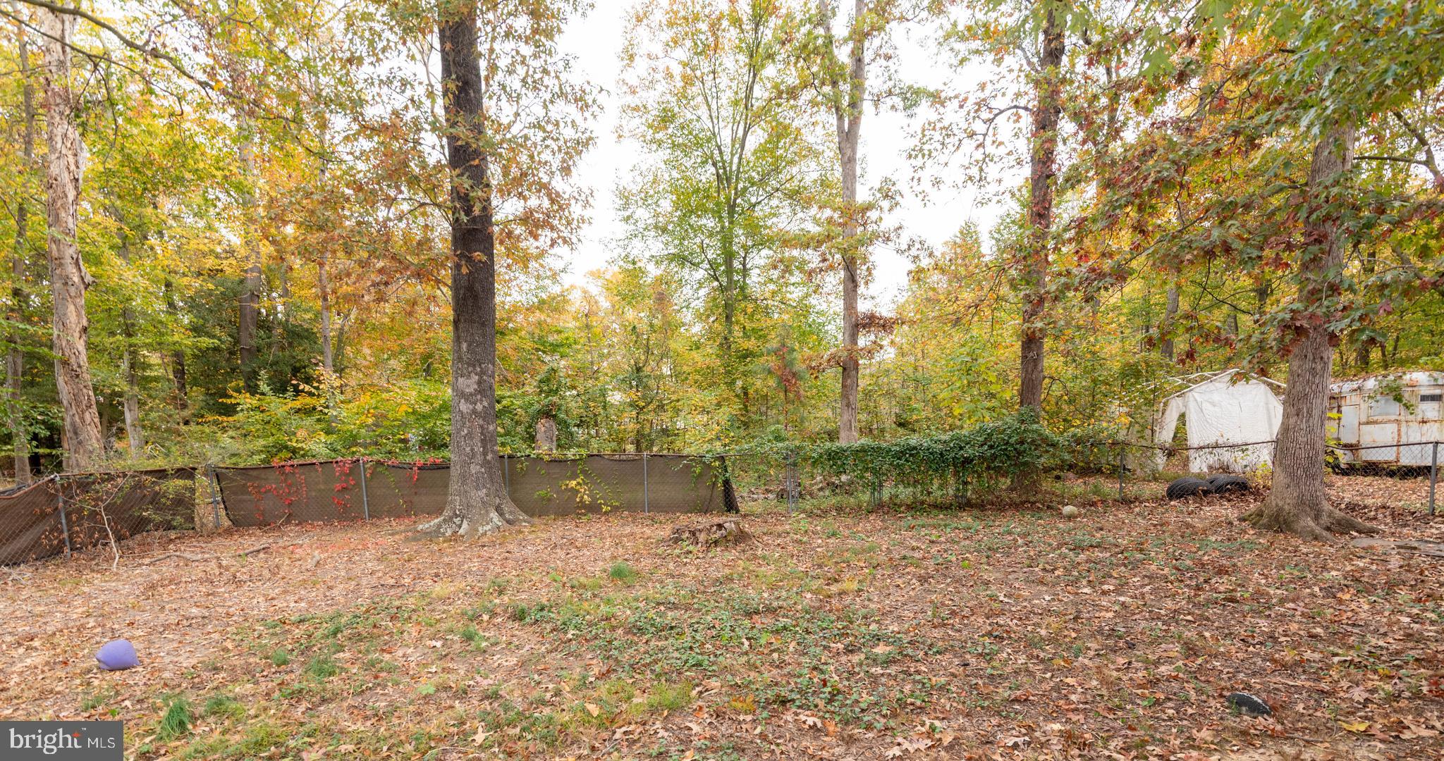 3270 Woodcox Road Indian Head, MD 20640 - Photo 46 of 49 a backyard of a house with lots of green space