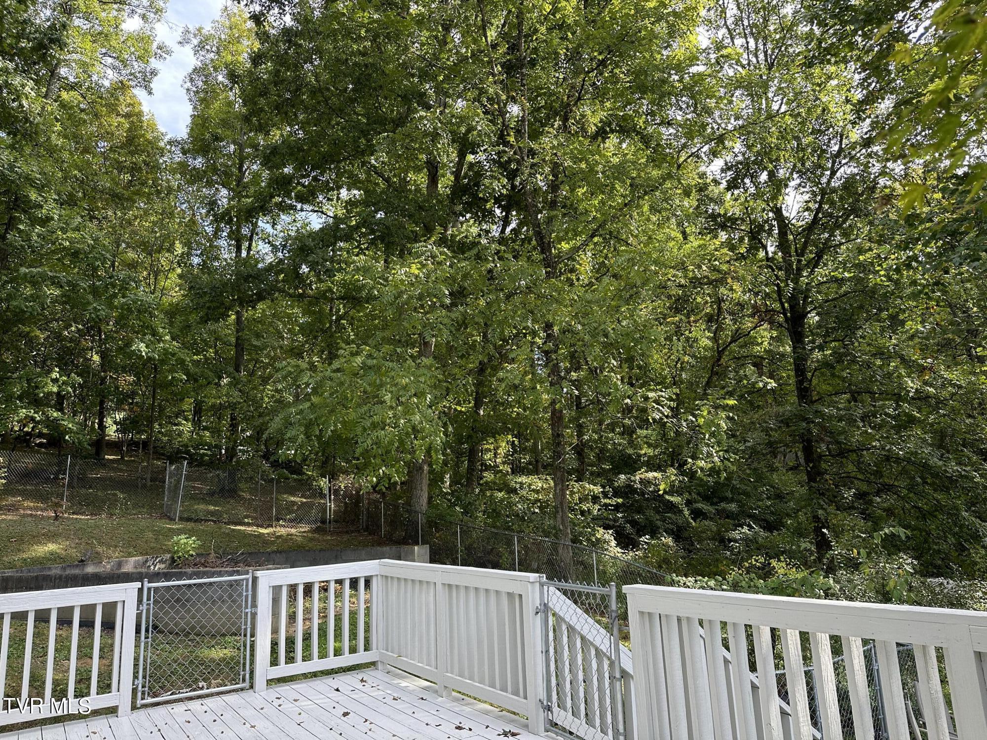 1370 Lovelace Road Fall Branch, TN 37656 - Photo 18 of 55 So Peaceful and natural