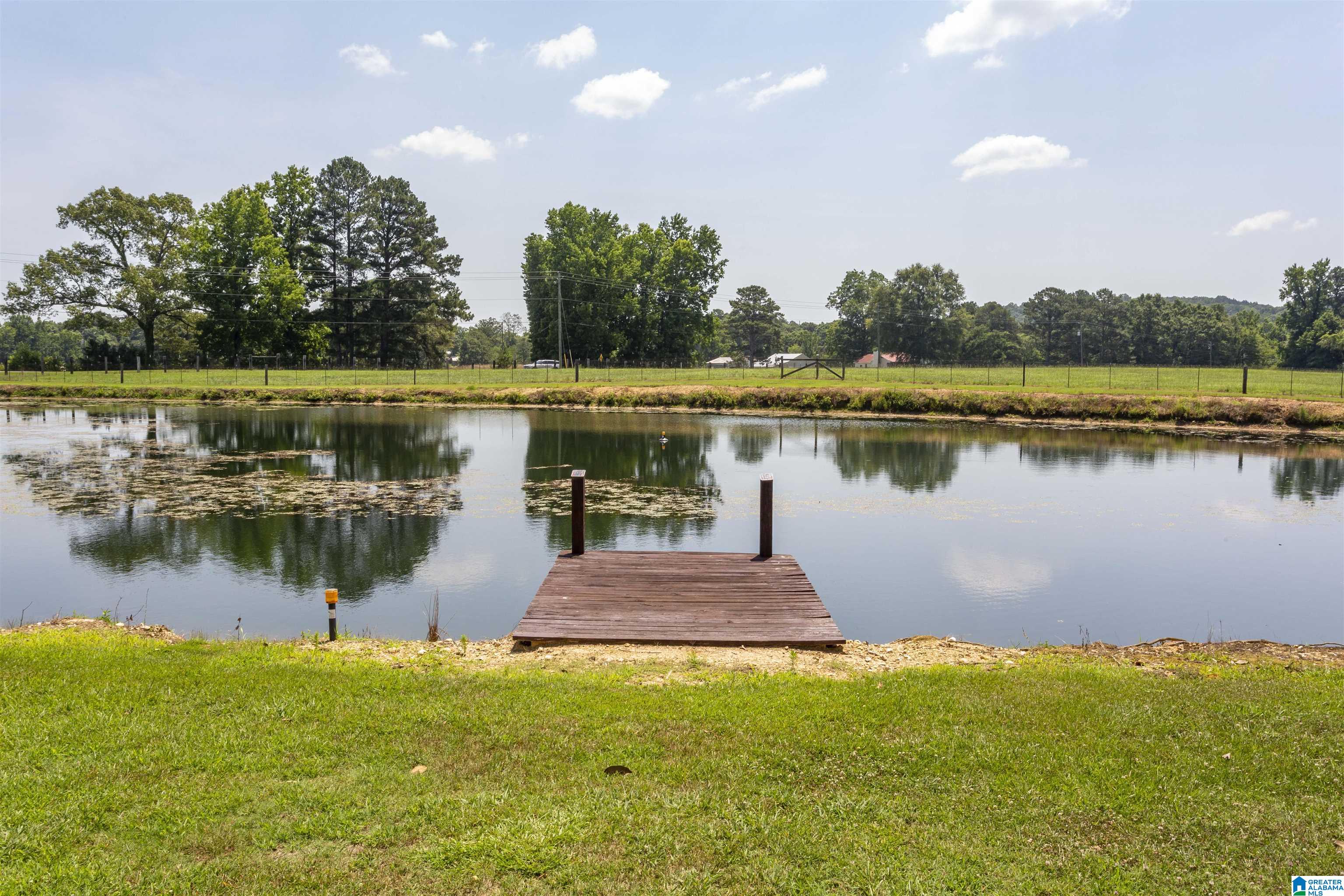 650 County Highway 13 Cleveland, AL 35049 - Photo 7 of 41