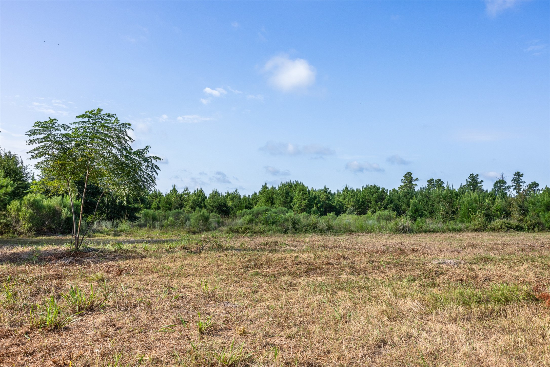 109 Old Sign Road Midway, TX 75852 - Photo 12 of 33 a view of a field with trees in the background