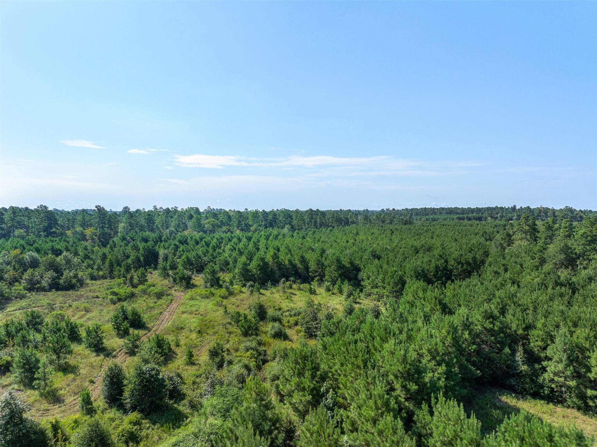 109 Old Sign Road Midway, TX 75852 - Photo 15 of 33 a view of a green field