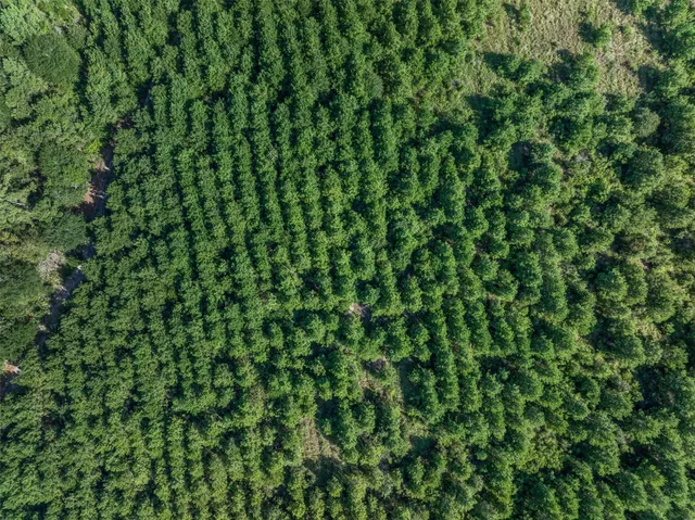 an aerial view of a houses with a yard