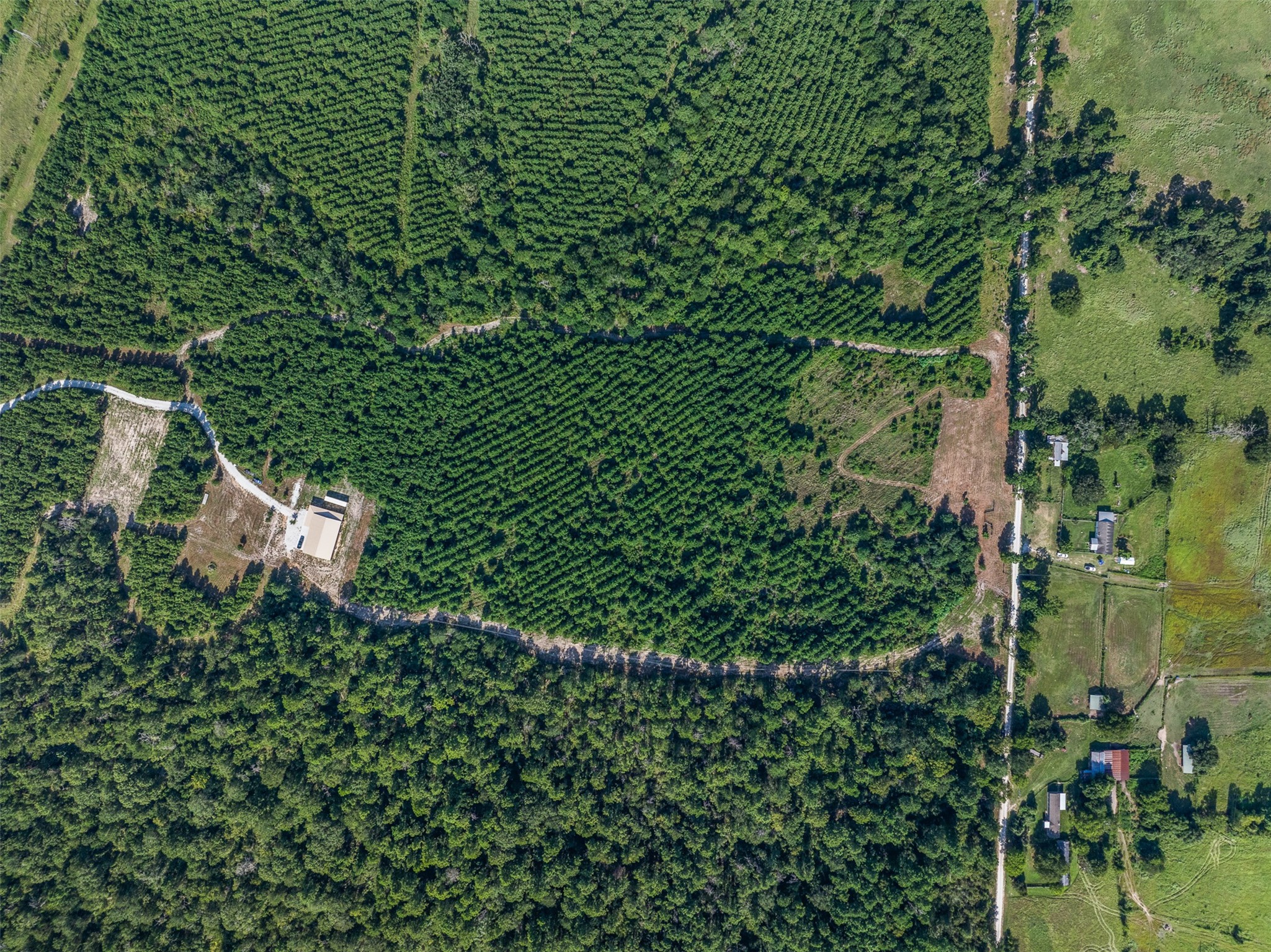 109 Old Sign Road Midway, TX 75852 - Photo 21 of 33 an aerial view of a house with a yard