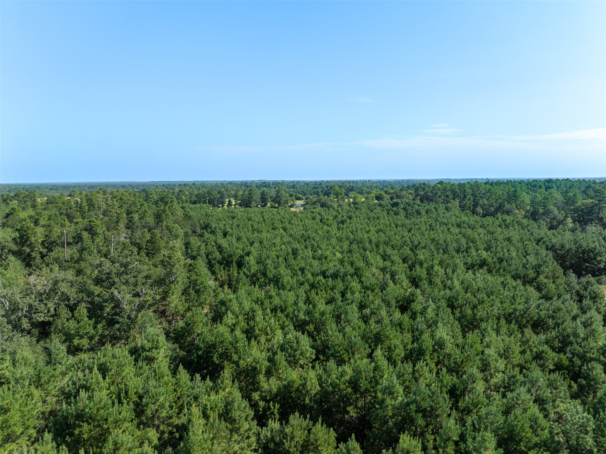 109 Old Sign Road Midway, TX 75852 - Photo 22 of 33 an aerial view of residential houses with outdoor space and trees