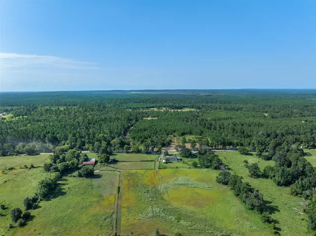 a view of a city with lush green forest