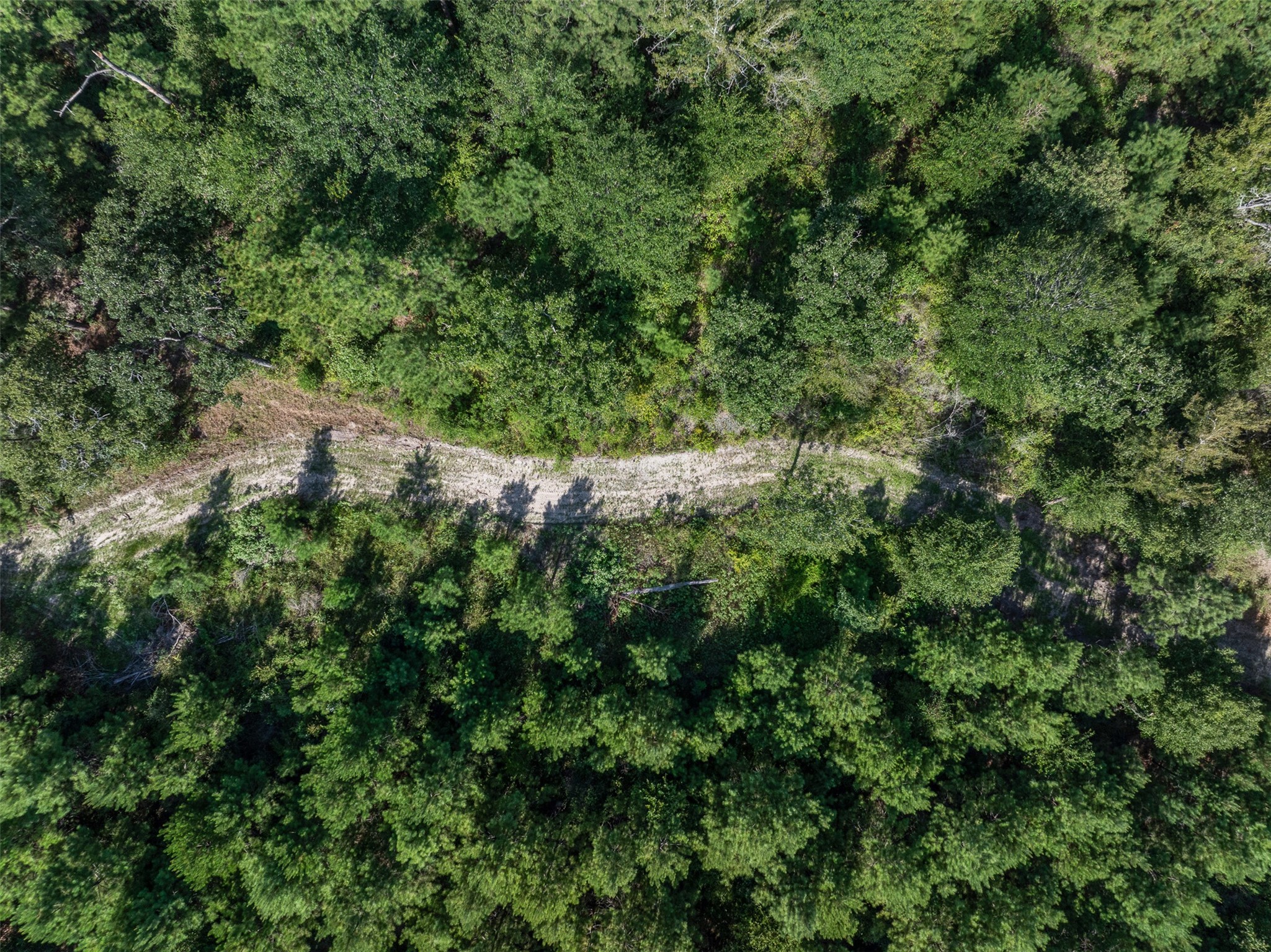 109 Old Sign Road Midway, TX 75852 - Photo 29 of 33 an aerial view of residential house with outdoor space and trees all around