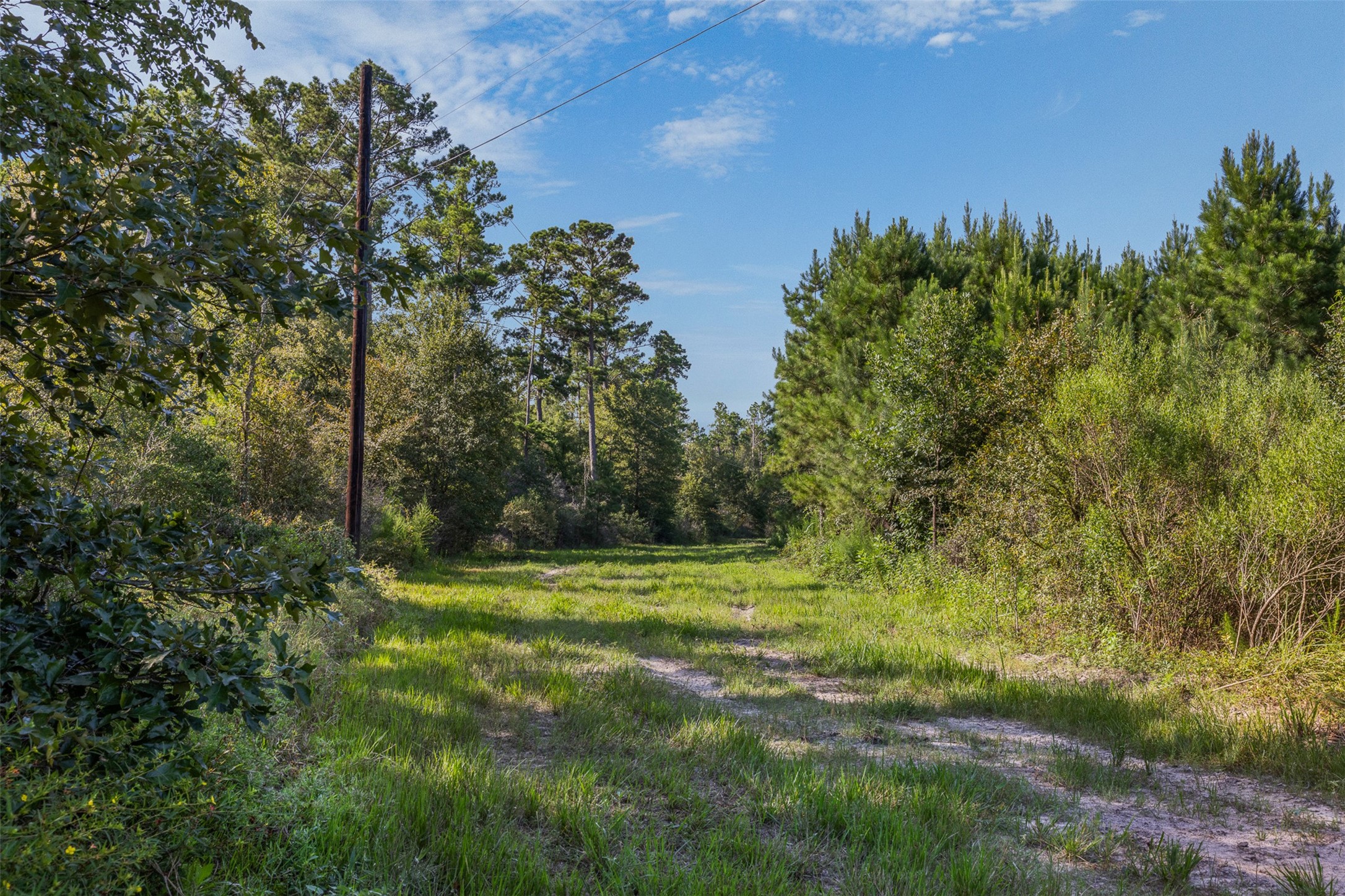 109 Old Sign Road Midway, TX 75852 - Photo 5 of 33 a view of a field with trees in the background